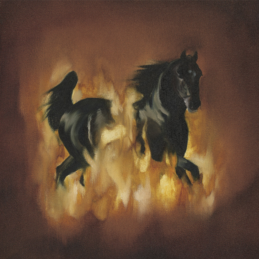 The Besnard Lakes -- The Besnard Lakes Are the Dark Horse